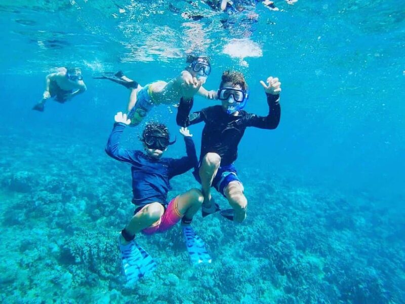Fort Walton: Dolphin Discovery and Snorkeling Cruise - Inclusion Details