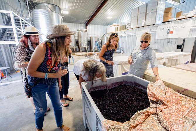 Fredericksburg Wine Trolley - Air Conditioned and Heated! - Guest Experiences and Feedback