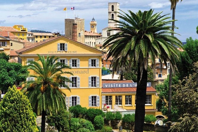 French Riviera & Medieval Villages Full Day Private Tour - Traveler Information