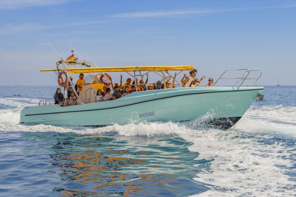 From Alcudia: Sunrise Dolphin Watching Boat Tour - Booking and Cancellation Policy