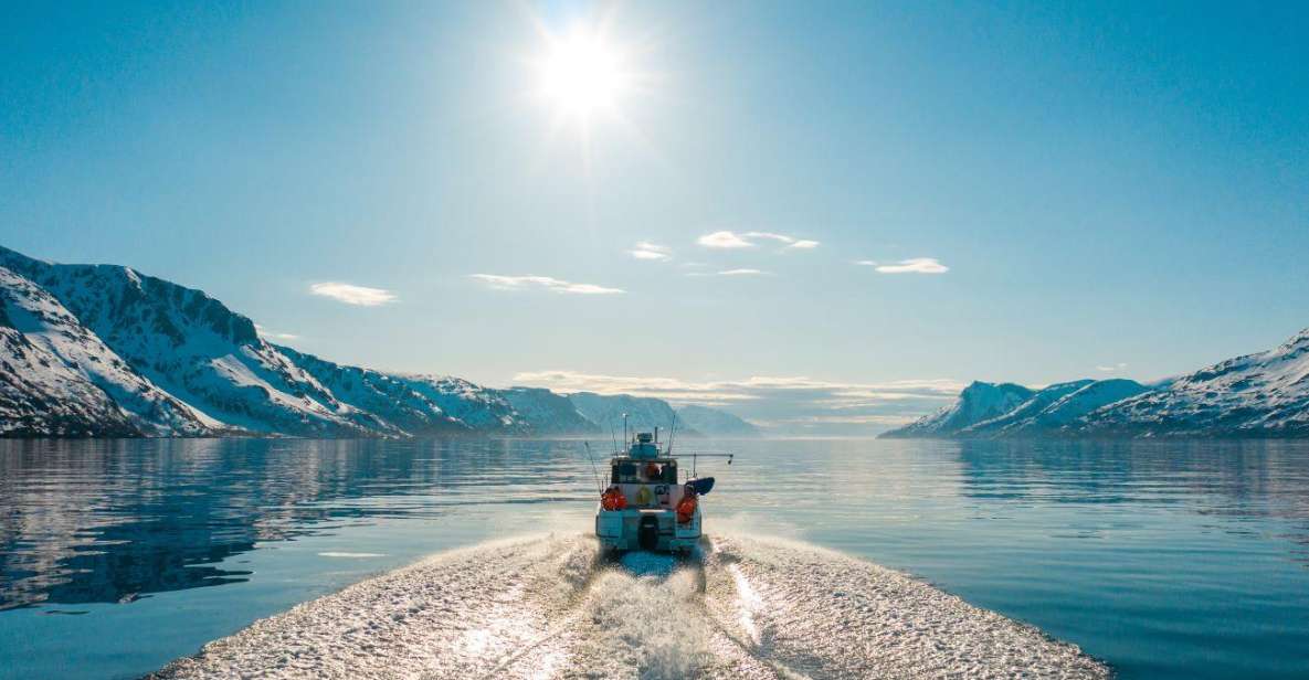 From Alta: Adventure Cruise in Alta Fjord - Booking and Cancellation Policies