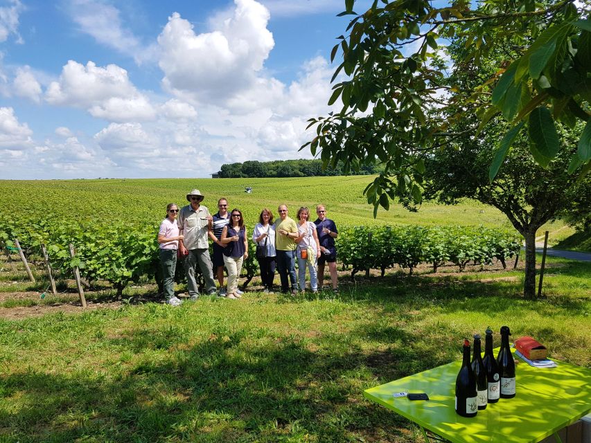 From Amboise: Villandry, Azay-le-Rideau & Winery - Wine Tasting Details