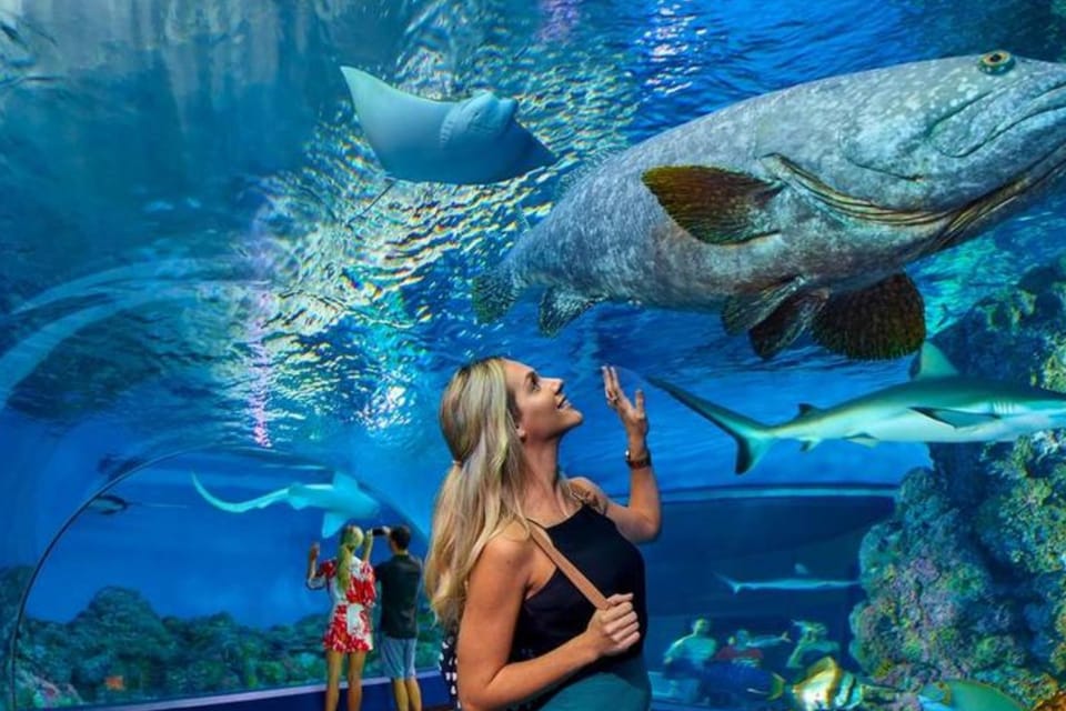 From Antalya All Region: Antalya Aquarium With Transfer - Included Services