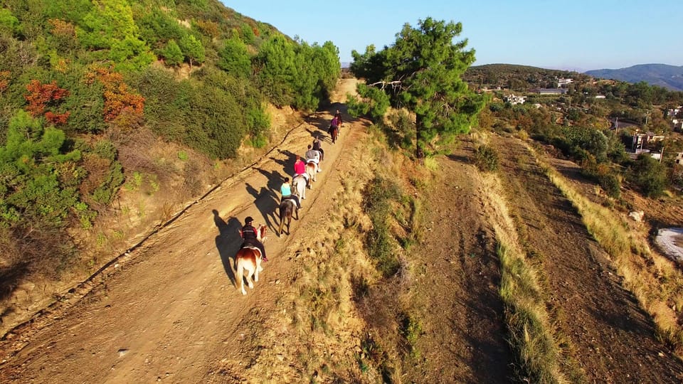 From Antalya, Belek, Kundu: Horse Riding With Hotel Transfer - Customer Reviews and Feedback