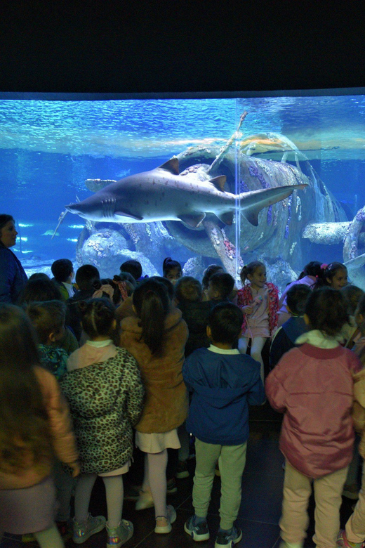 From Antalya/Side/Alanya: Antalya Aquarium Transfer Service - Additional Attractions and Activities