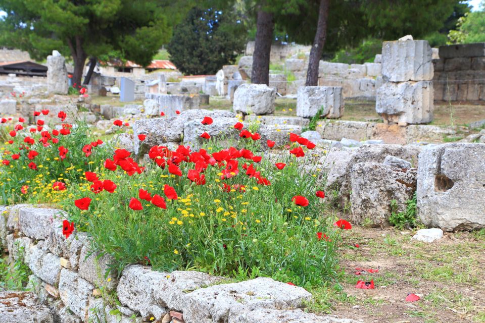 From Athens: Ancient Corinth & Daphni Monastery - Participant Information