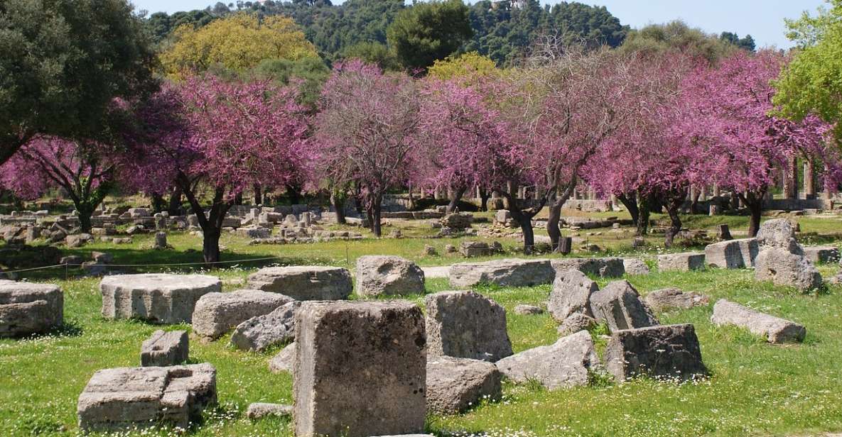 From Athens: Private Day Trip to Ancient Olympia - Local Experience