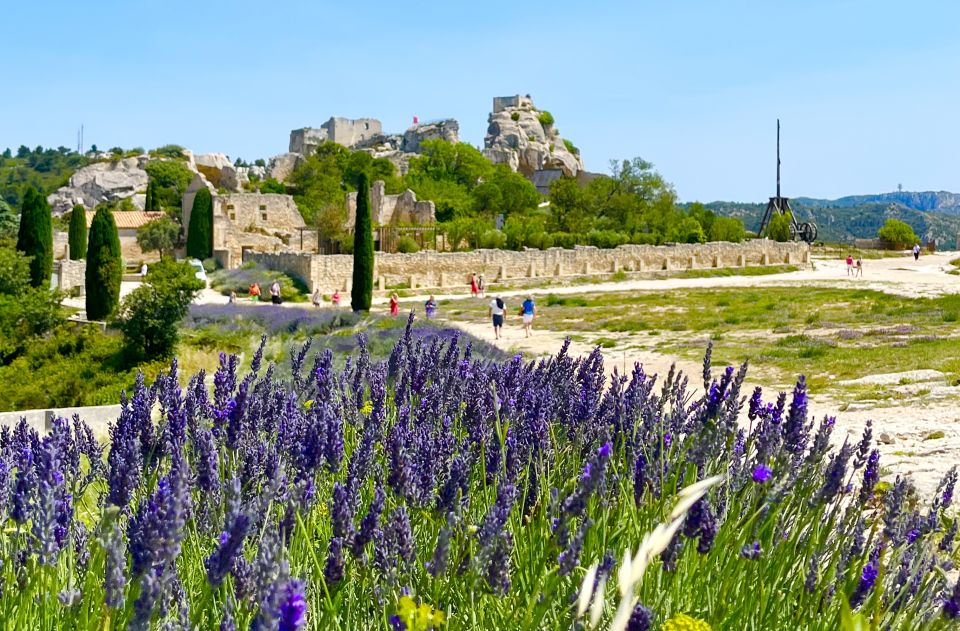 From Avignon: Arles, Les Baux-de-Provence & Saint-Rémy Tour - Inclusions and Exclusions