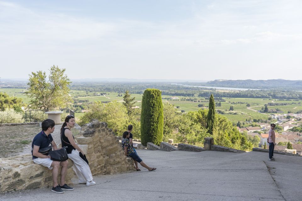 From Avignon: Avignon & Châteauneuf Du Pape Wine Tour - Important Information