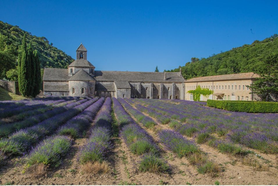 From Avignon: Full-Day Experience in Luberon With Lunch - Booking and Reservation Process