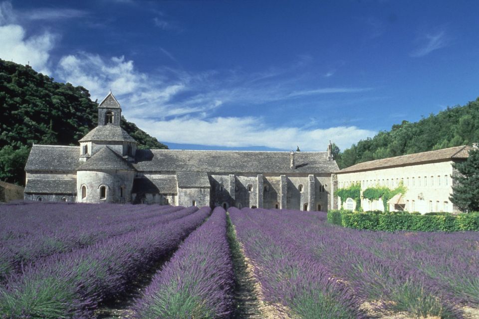 From Avignon: Half-Day Hilltop Villages of Luberon - Cancellation Policy