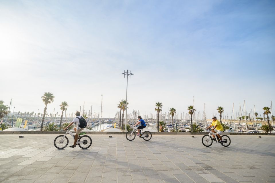 From Barcelona: Alella Wine Tour by Electric Bike - Guided Tour and Activities