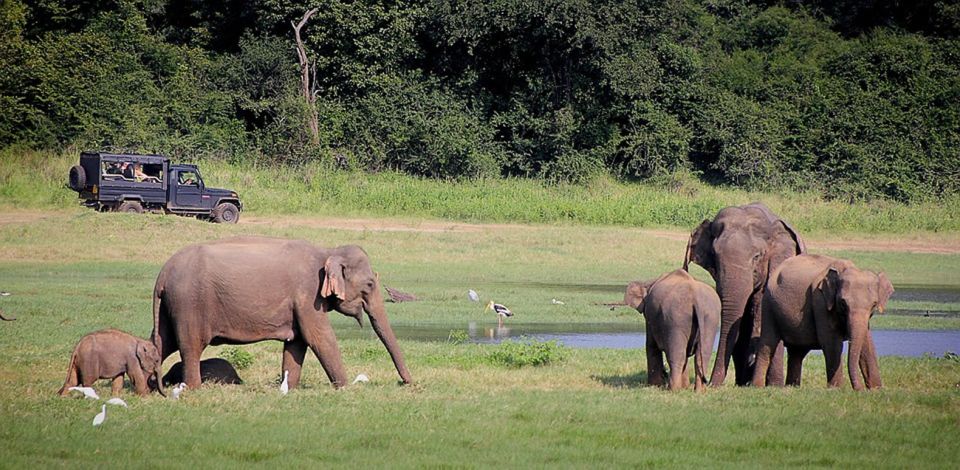 From Bentota: Elephant Transit Camp and Udawalawe Safari - Beach and Relaxation