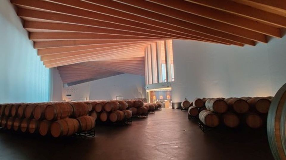 From Bilbao: Rioja Architecture and Wine Tour - Marques De Riscal Winery