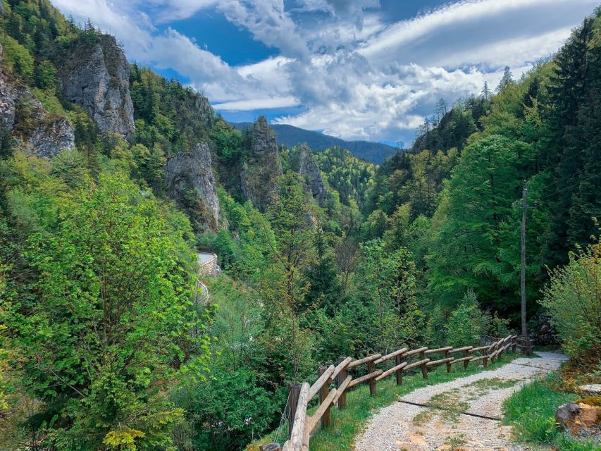 From Bled: Half-Day Crystal River Hike - Tips for Enjoying the Hike