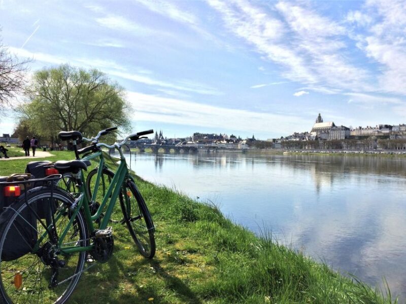 From Blois: Chaumont-sur-Loire, Nature, Wine And History - Booking and Cancellation Policies