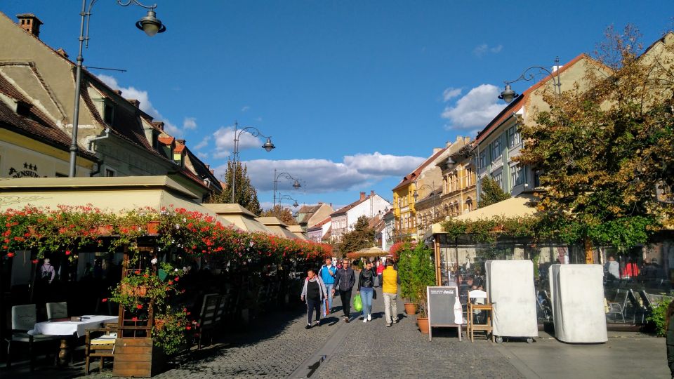 From Brasov: Guided Sighisoara and Sibiu Private Day Trip - Inclusions and Exclusions