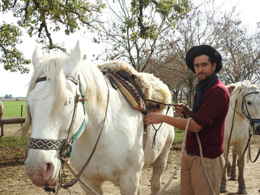 From Buenos Aires: Gaucho and Ranch Day Tour - Transportation and Logistics