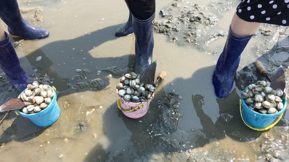 From Busan: Geoje Mudflat Experience and Korean Gourmet Food - Local Specialties Lunch