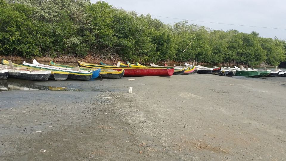 From Cartagena: Mangroves Trip With Lunch - Frequently Asked Questions