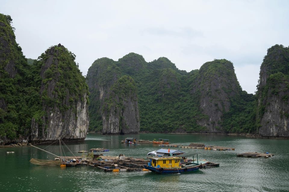 From Cat Ba: Cat Ba Full Day Kayaking With Fishing Village - Important Information