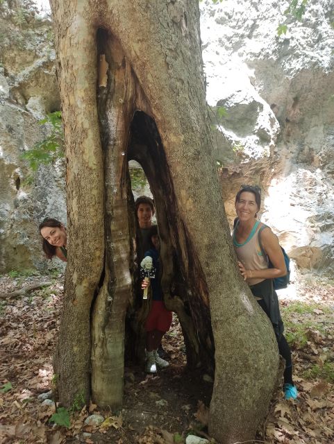 From Chania: Agia Irini Gorge Hike & Beach Relaxation - Natural Attractions