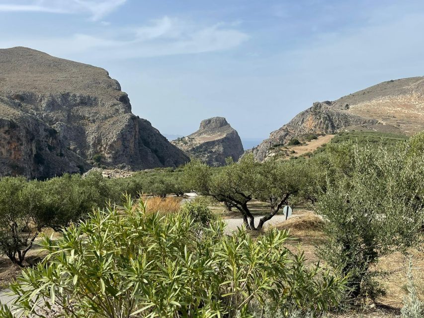 From Chania: Falassarna Beach, Wine & Olive Oil Private Tour - Discovering the Olive Oil Mill