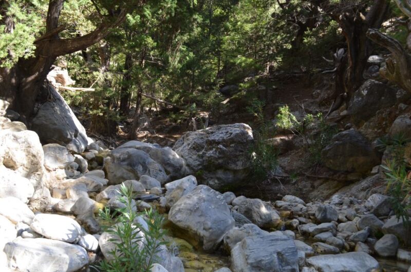 From Chania/Kalyves: Full-Day Samaria Gorge Hiking Day Trip - Included Services and Costs