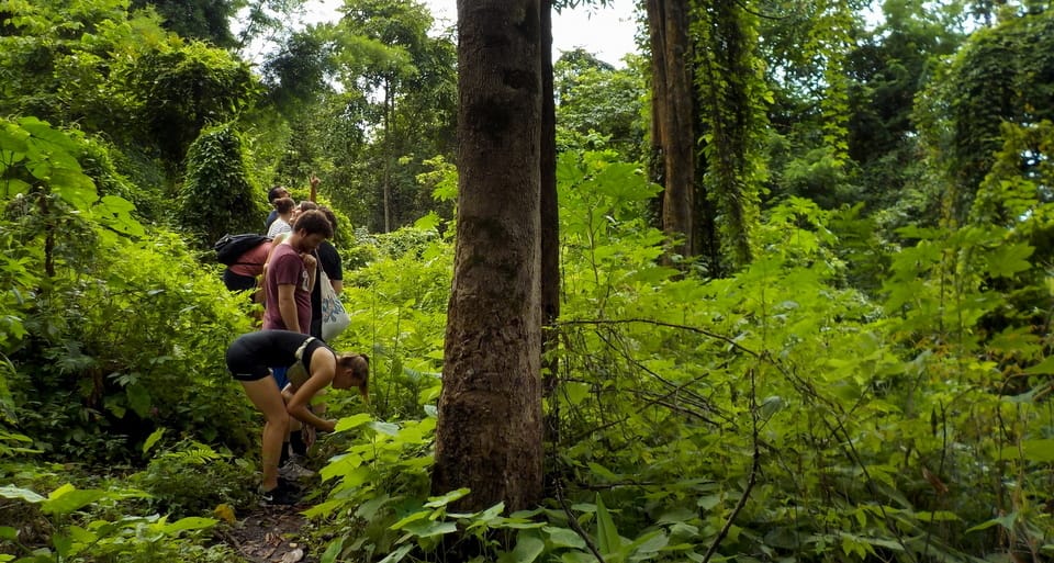 From Chiang Mai: Mae Taeng Valley Hike & Bike Day Trip - Lunch at Local Establishment