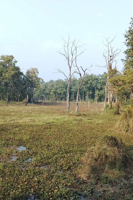 From Chitwan: Day Tour Jeep Safari+Canoeing+Jungle Walk - Canoeing Adventure