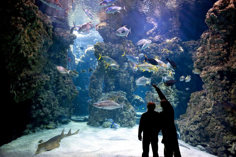 From City of Side: Antalya Aquarium Full-Day Trip - Booking Process