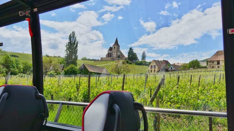 From Colmar: Alsace Medieval and Wine Tasting Day Tour - Accessibility and Restrictions