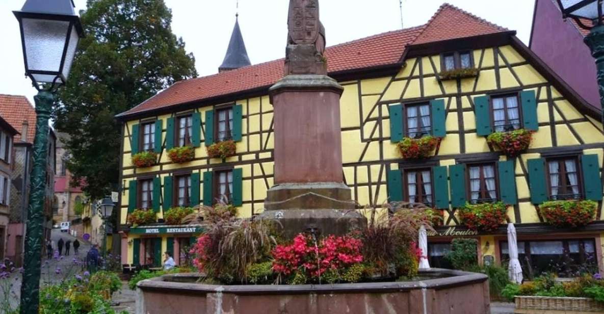 From Colmar: the 4 Most Beautiful Village in Alsace Full Day - Customization Options