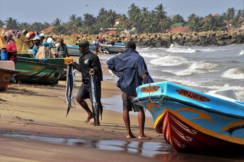 From Colombo: Hikkaduwa Village Tour With Boat Ride & BBQ - Frequently Asked Questions