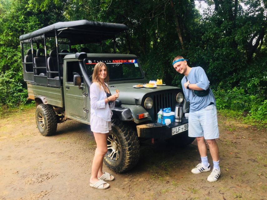 From Colombo: Sigiriya and Minneriya National Park Day Tour - Dambulla Cave Temple