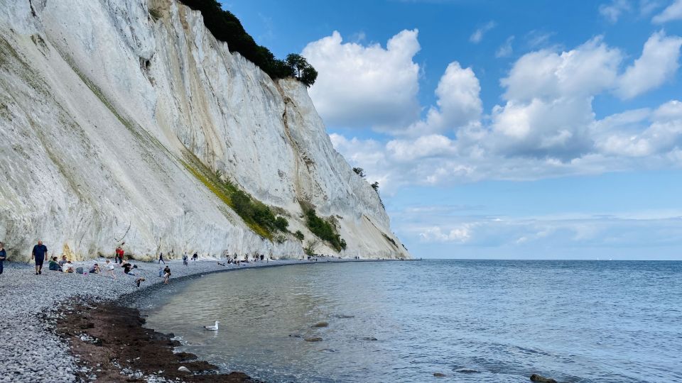 From Copenhagen: Round-Trip to Møns Klint and Forest Tower - Inclusion and Accessibility