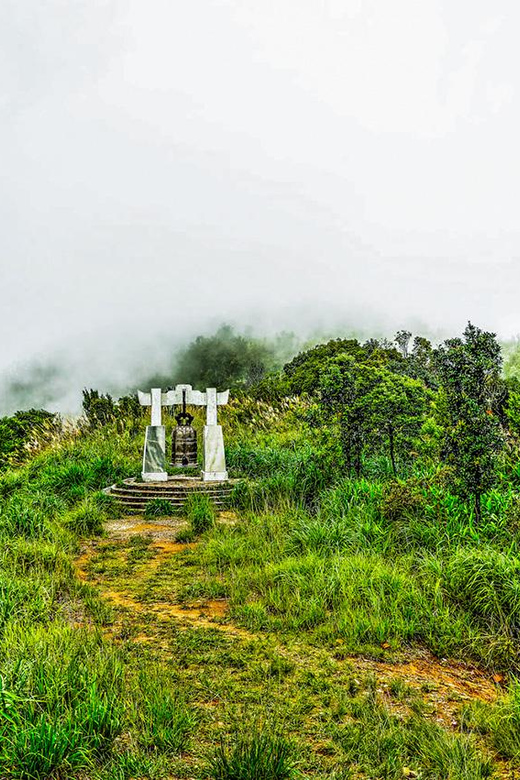 From Da Nang: Bach Ma National Park Trekking - Inclusions and Exclusions