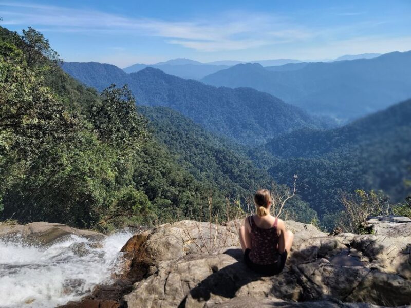 From Da Nang or Hoi An: Bach Ma National Park Trek & Lunch - Customer Reviews and Ratings