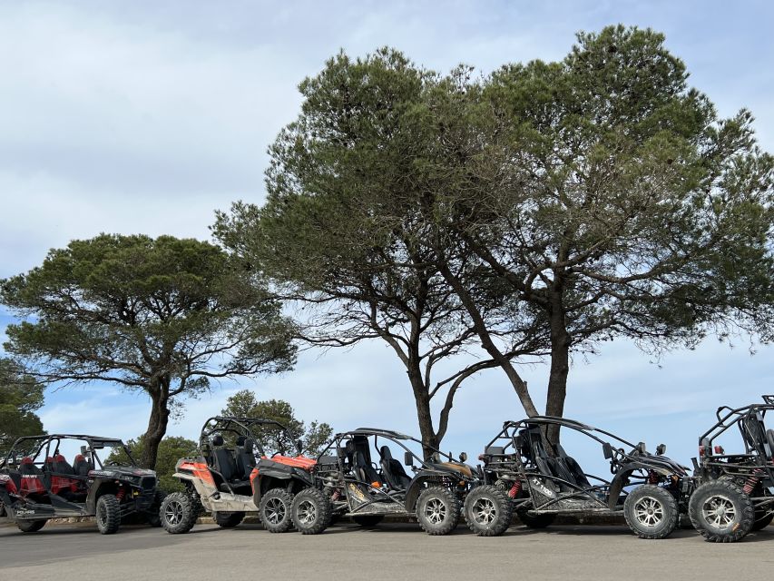 From East Mallorca: Guided Beach and Mountain Buggy Tour - Tour Inclusions