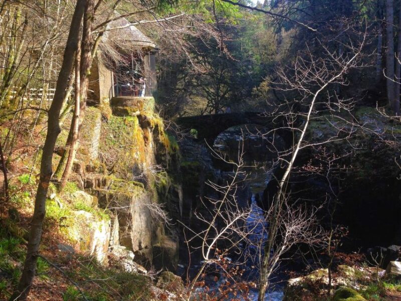 From Edinburgh: Full Day Scottish Highlands and Whisky Tour - Participant Information