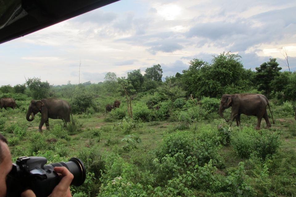 From Ella: All Inclusive Udawalawe National Park Safari - Special Considerations