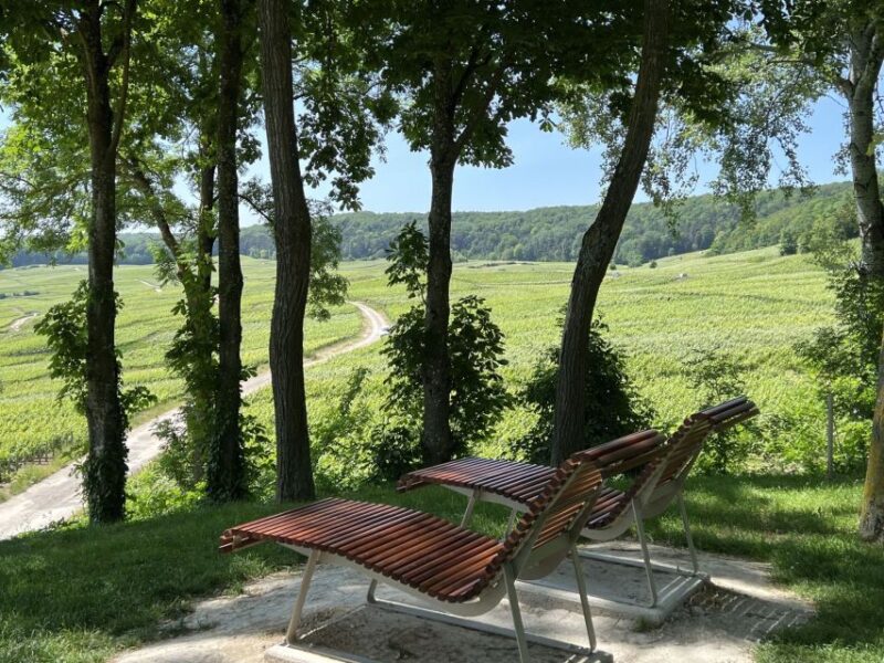 From Epernay : Bubble Morning Champagne Tour 6 Tastings - Scenic Views and Locations