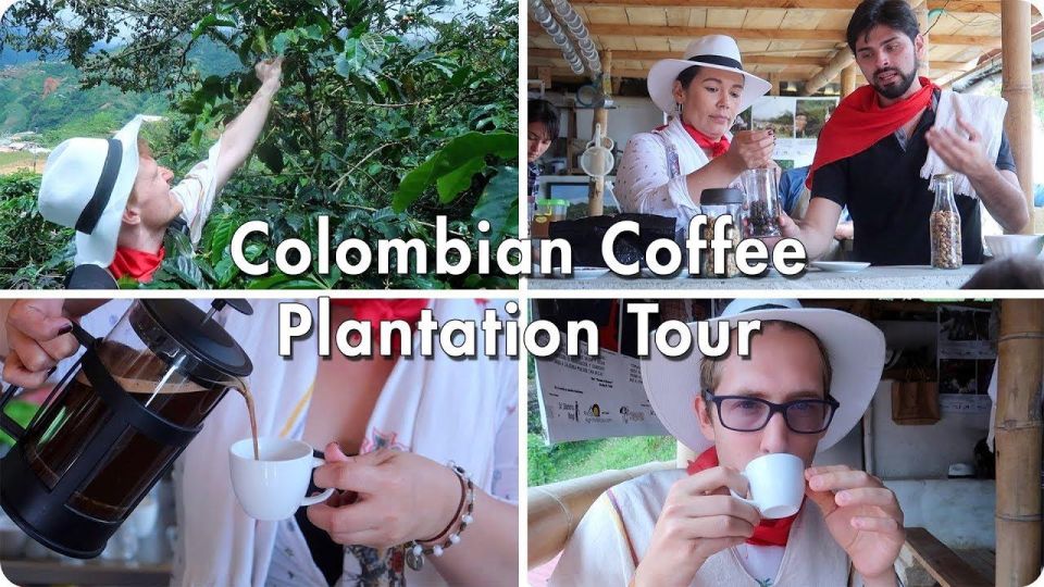 From Farm to Cup: The Ultimate Coffee Tour - Tasting Colombias Finest Brews