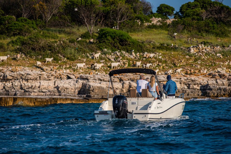 From Fažana: Private Boat Tour of Brijuni Islands - Activities on Veliki Brijun