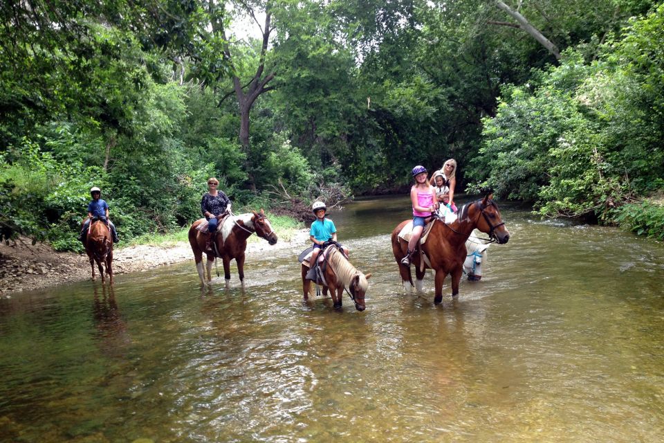 From Fethiye: Horse Riding Adventure - Customer Experiences and Ratings