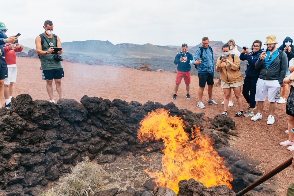 From Fuerteventura: Lanzarote Trip With Wine Tasting & Lunch - Important Information