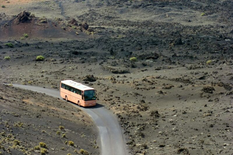 From Fuerteventura: Lanzarote Volcano and Wine Region Tour - La Geria Wine Region