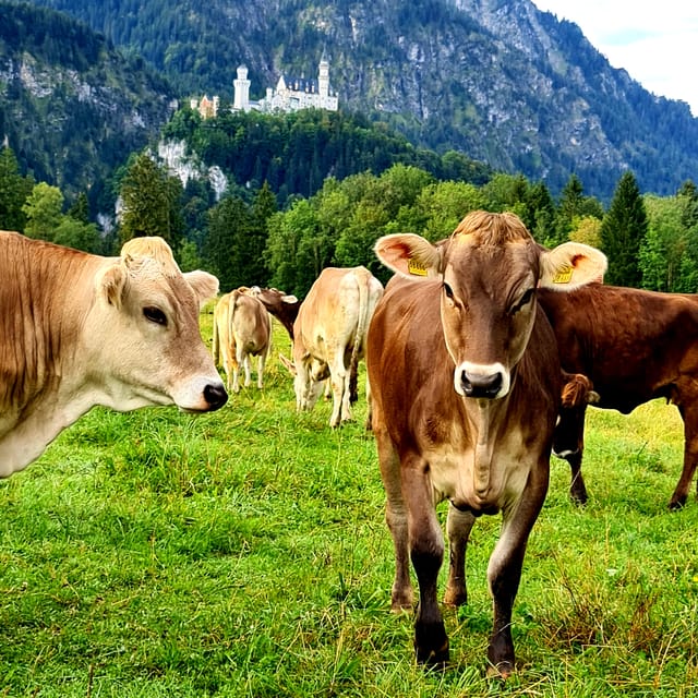 From Füssen: Neuschwanstein & Linderhof Castles Private Tour - Oberammergau Exploration