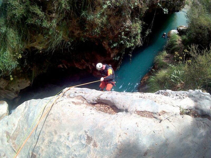 From Granada: Rio Verde Canyoning Tour - Customer Reviews and Feedback