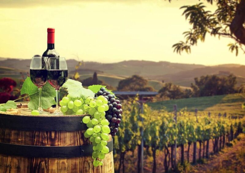 From Granada: Ronda Winery and Sightseeing Tour - Inclusions